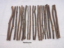 20 Zweige Äste Hainbuche Deko