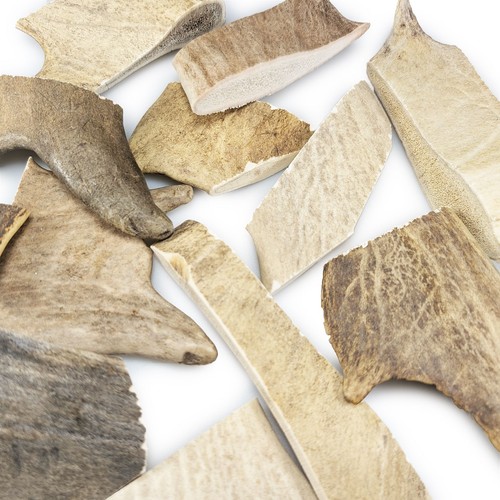 500g damhirsch geweihstücke - 500g,
