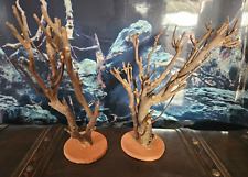 1x Talawa Wood ca. 25-30cm auf