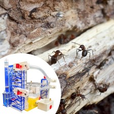 ANT Farm Castle Beobachtung mit Fütterungsbereich für Home School House