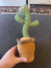 Tanzender Kaktus Baby