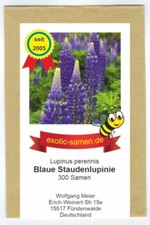 Wilde lupine stauden - wilde, stauden-lupine