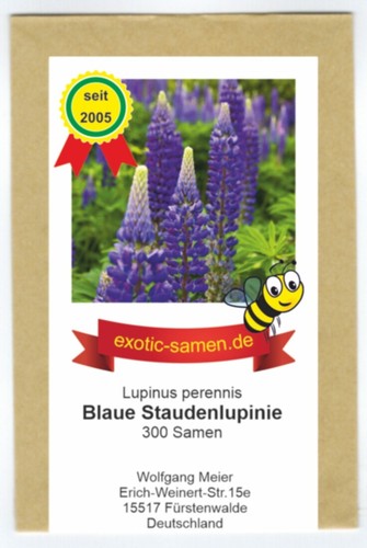 Wilde lupine stauden - wilde,