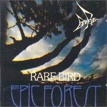 Epic forest bonus tracks - epic,