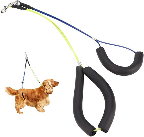 Halteschlaufe hund - halteschlaufe,