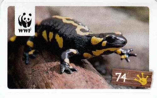Rewe wwf tier abenteuer - wwf,