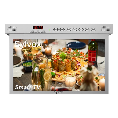 Zoll smart google tv - 15.6,