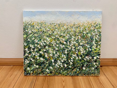 Gänseblümchen impasto - gänseblümchen,