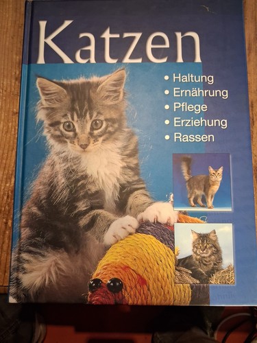 Katzen rassen haltung pflege - katzen,