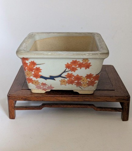 Japanische bonsaischale ahorn - bonsaischale,