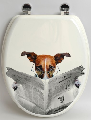 Sitz reading dog - reading,
