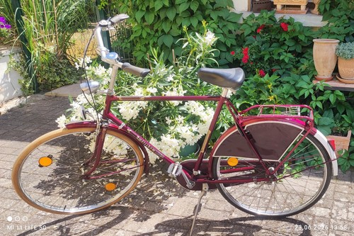 Herrenfahrrad zoll holland - herrenfahrrad,