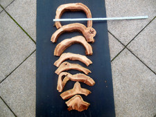 8  Baumscheibe  Aststücke