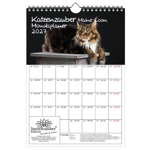 Katzenzauber maine coon - maine-coon, planer