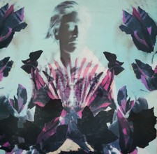 Philipp Boa and the Voodooclub