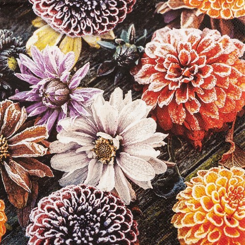 Servietten frosted dahlia - 20,