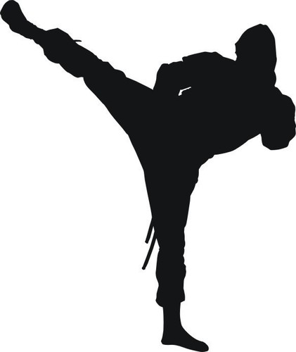 Nin3 ninja aufkleber - ninja,
