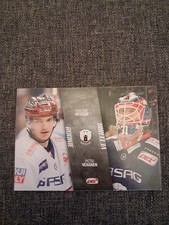 DEL Playercards 2017/18