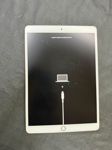 Apple pad a1701 - pad,