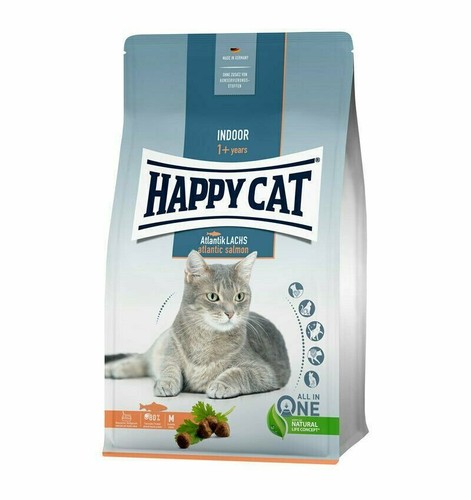 Happy cat indoor adult - cat,