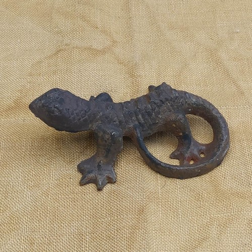 Wow gecko wanddeko - wow,