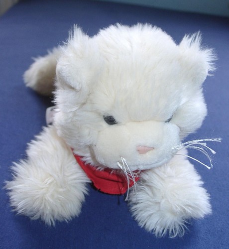 Sigikid katze cfreme rote - cfreme,