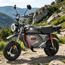 15'' Elektro Motorrad Dirt