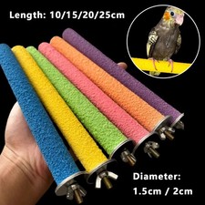 Vogel Haustier Papagei