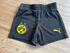 BVB Borussia Dortmund