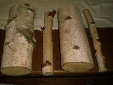 4 x Birke Holz Deko Basteln
