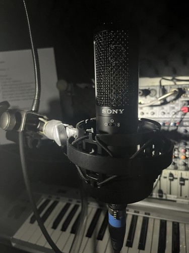 Sony 100 - sony, c-100