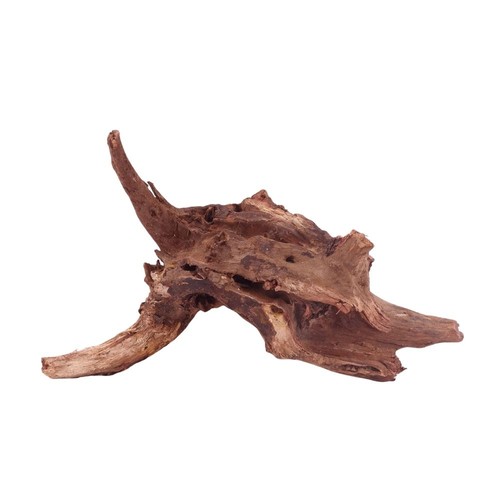 Driftwood flußwurzel - m,