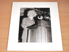 Lumas foto bild albert - lumas,