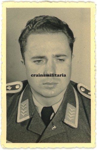 Orig foto portrait nachtjagd - foto,