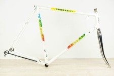 CARRERA TASSONI 1993 TEAM