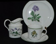 Seltmann Weiden Porzellan Renate Flora Botanik Blumen Pflanzen Teile zur Wahl