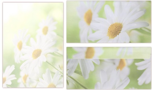 Set motivpapier - set, +