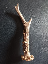 1 Geweihstange vom Reh