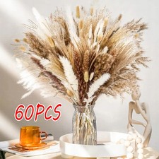 Pampasgras Getrocknet