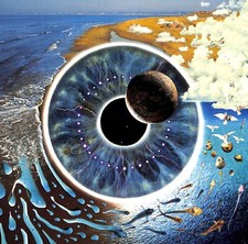 Pink Floyd Pulse - Box 4 LP +