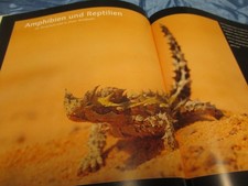 Digitale Foto - Praxis 