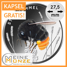 5 Euro Münze STEINHUMMEL