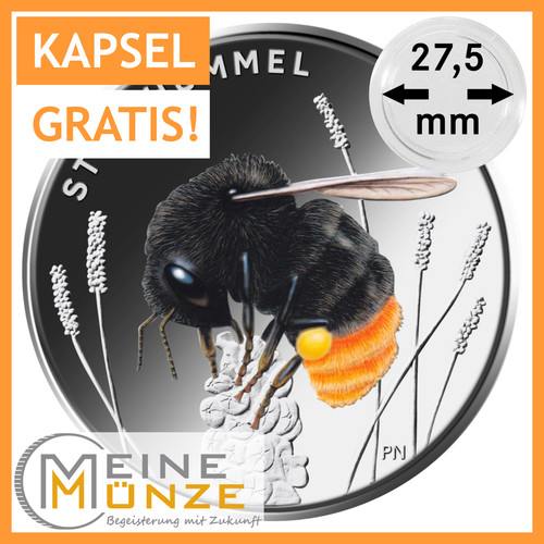 Euro münze steinhummel - 5,