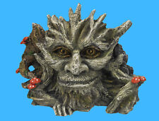 Aquarium Deko 🐠 GESICHT IM