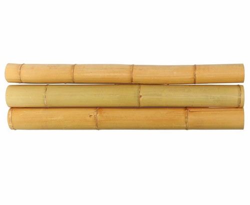 Bambusrohr moso mit 100cm - bambusrohr,