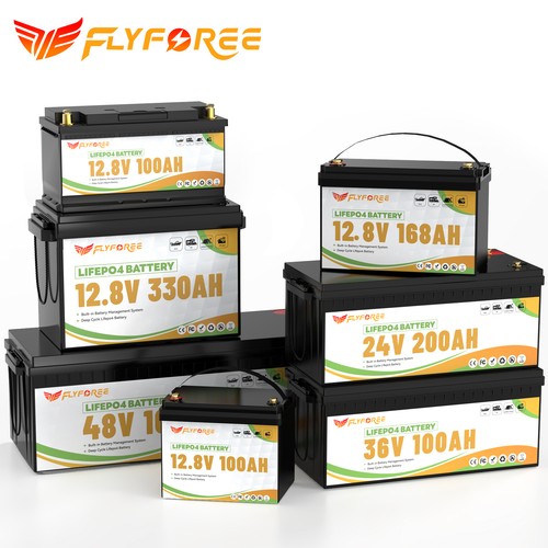 12v 24v lifepo4 lithium - 12v,