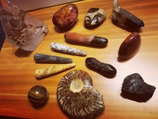 Konvolut Mineralien Quarzvarianten Tektit, Jaspis, Tigerauge, Turmalin, Ammonit