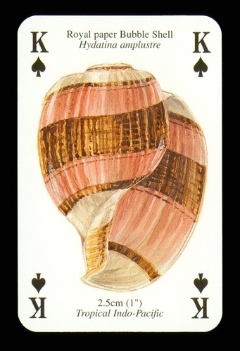 Spielkarte royal paper - 1,