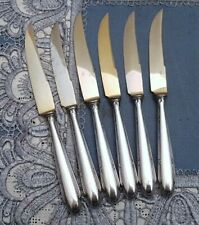 6 Wunderschöne versilberte