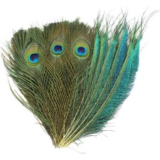 Pfauenfedern Bastel Federn
